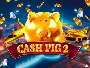 Cash Pig 2 screenshot
